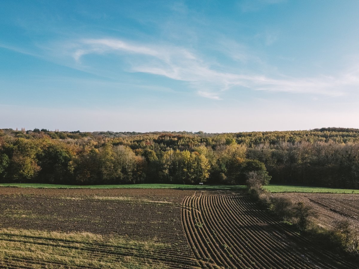 DescGui's tweet photo. Autumn Vibes #3

#dronestagram #droneshots #dronelife #drone #aerialview #dronepointofview #shotondji #aerialshot #dronenature #djiofficial #droneshot #droneshotoftheday #naturebeauty #nature_photo #naturephoto #naturephotography #getoutside #photo #photography #autumn https://t.co/1l9dndoRTB