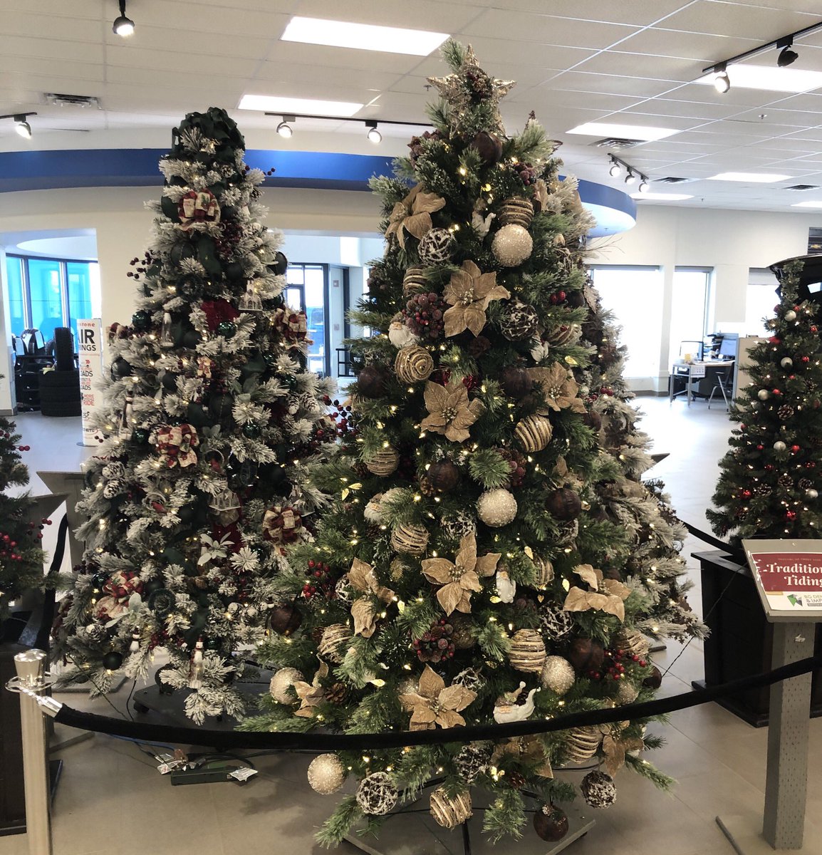 MurrayGMEstevan's tweet photo. Don't forget to stop in & check out the gorgeous decorated @SJHFEstevan Festival of Trees' trees. You can go to https://t.co/xBINBOoTYR to bid on these trees plus many other great items. #festivaloftrees #hospitalfoundation https://t.co/pSTTyQb9US