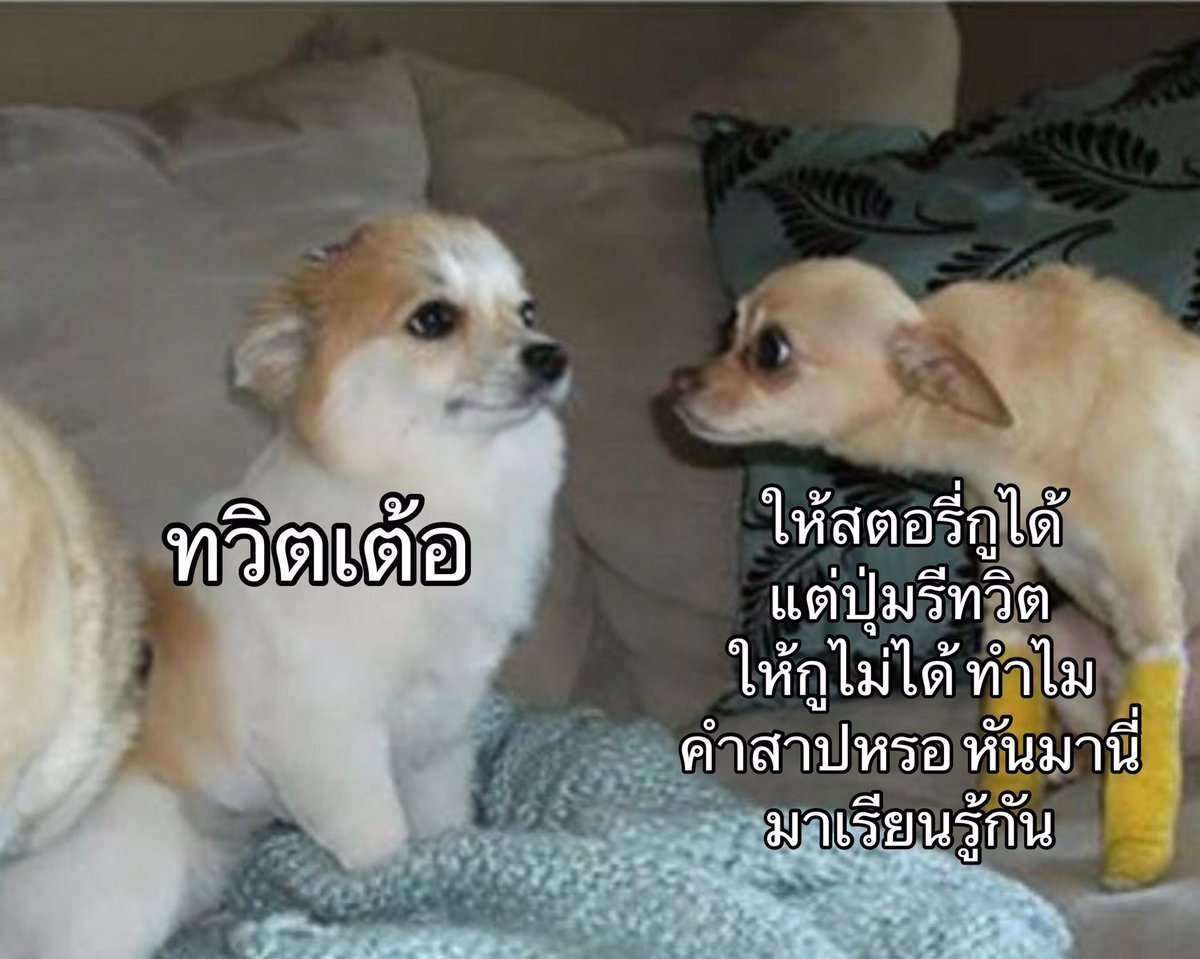 คะงเจย์ tweet media