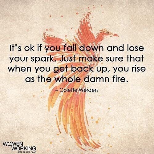 Power of the Purse tweet media