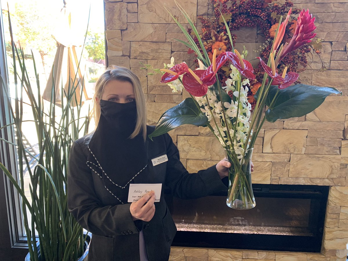 Seth Gibson tweet media