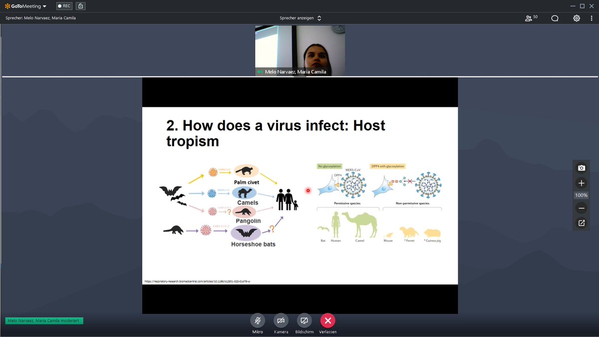 CPCSchool's tweet photo. An excellent presentation in the context of our Corona seminar given by our PhD candidates Camila and Christian today! Complex answers to a simple question: What cells does SARS-CoV-2 target? #GRK2338fightsinfodemic #CPCfightsinfodemic @weijnitz @science_surf @AlionderCPC https://t.co/1iTFcGYvhE