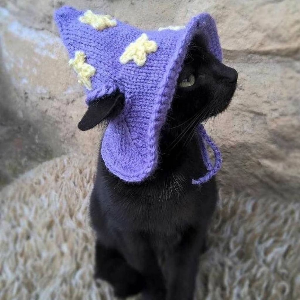 WishCraft_AC's tweet photo. I NEED one of these for Spider! 😍🐈‍⬛ Our #WishCraft Academy #Kitten 💜 via @shadowlighthaven &amp; @cats_in_hats_shop 
...
#witchesofig #witchcraft101 #witchythings #witchylife #blackcat #blackkittens #blackcatsclub #blackcatsofinsta #blackcatsofinsta #bl… https://t.co/ulSTauUhdt https://t.co/H9nu1yQNrY