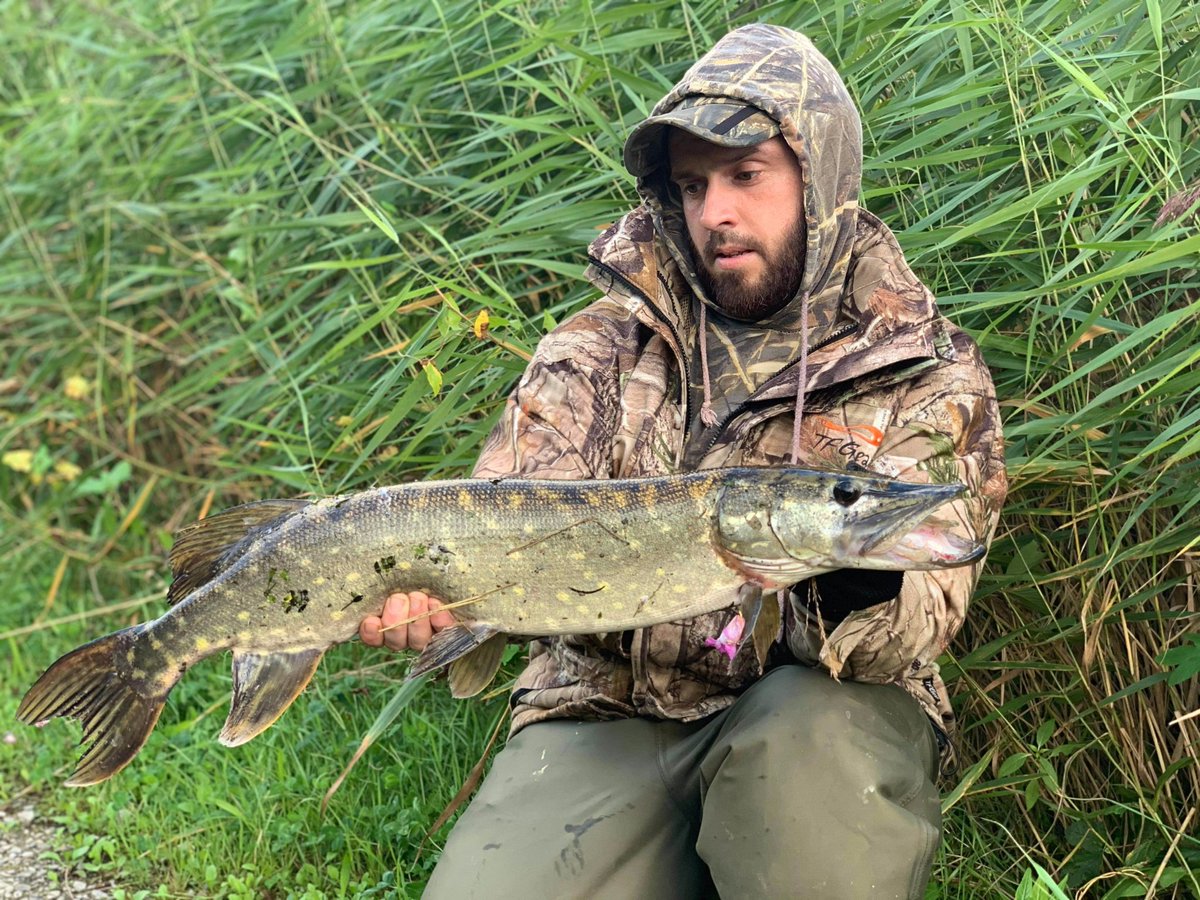 Cpowellcarpmad's tweet photo. Few fish this year! 
.
.
#Thewelshcarpangler 
#banktackle 
#bartonsleads 
#carpfishing 
#pikefishing
#shimano 
#savagegearlures 
#fishing 
#imback https://t.co/JrLkJBf9Pt
