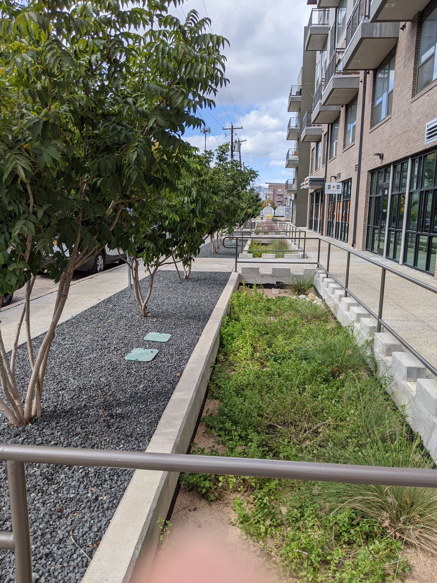 rohanlilauwala's tweet photo. Some well-executed green infrastructure in East Austin https://t.co/fm2od82h7a