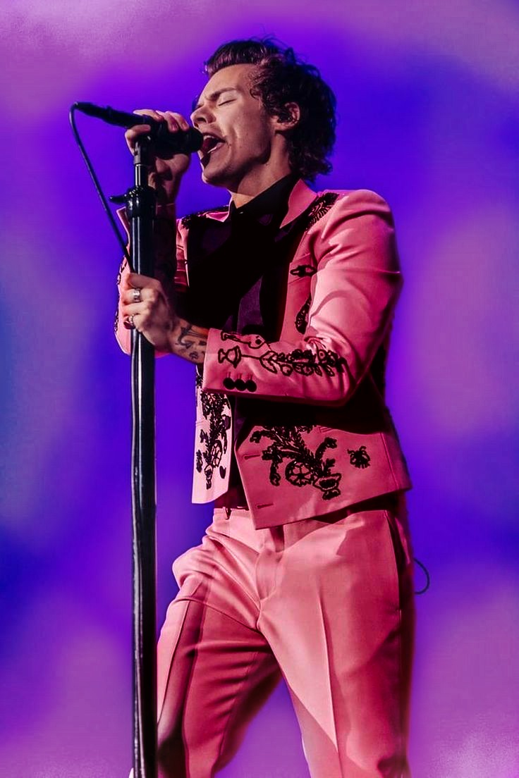 2. Bisexual Pride Flag 