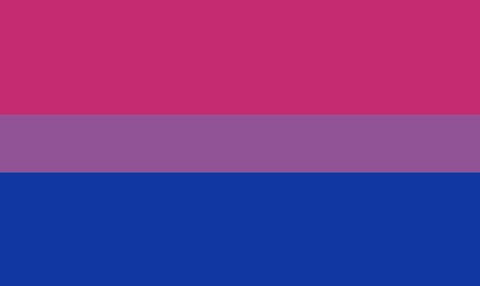 2. Bisexual Pride Flag 
