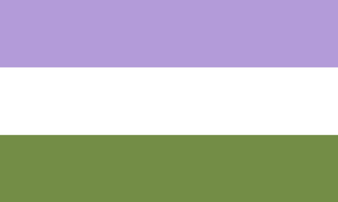 6. Genderqueer Pride Flag