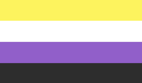 8. Non-binary Pride Flag 