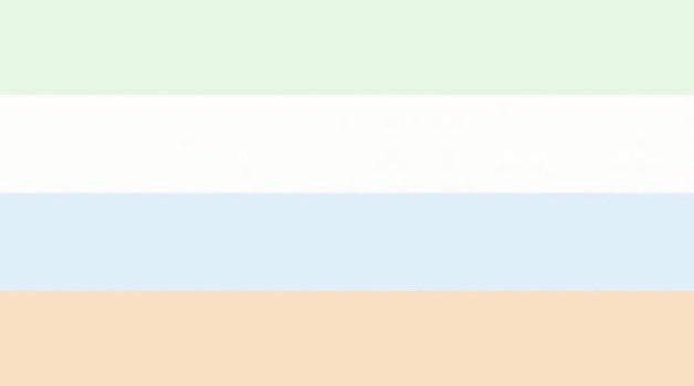 10. Unlabeled Pride Flag 