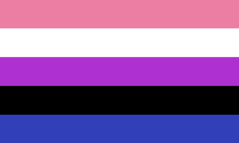 9. Genderfluid Pride Flag 