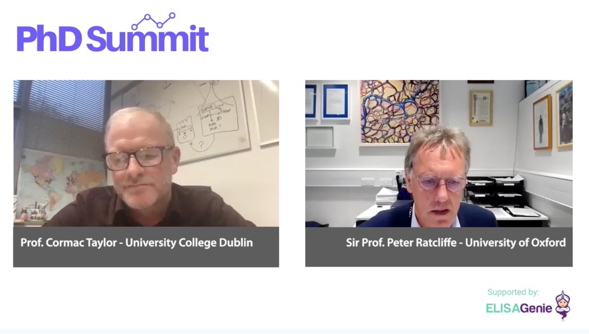 PhD Summit tweet media