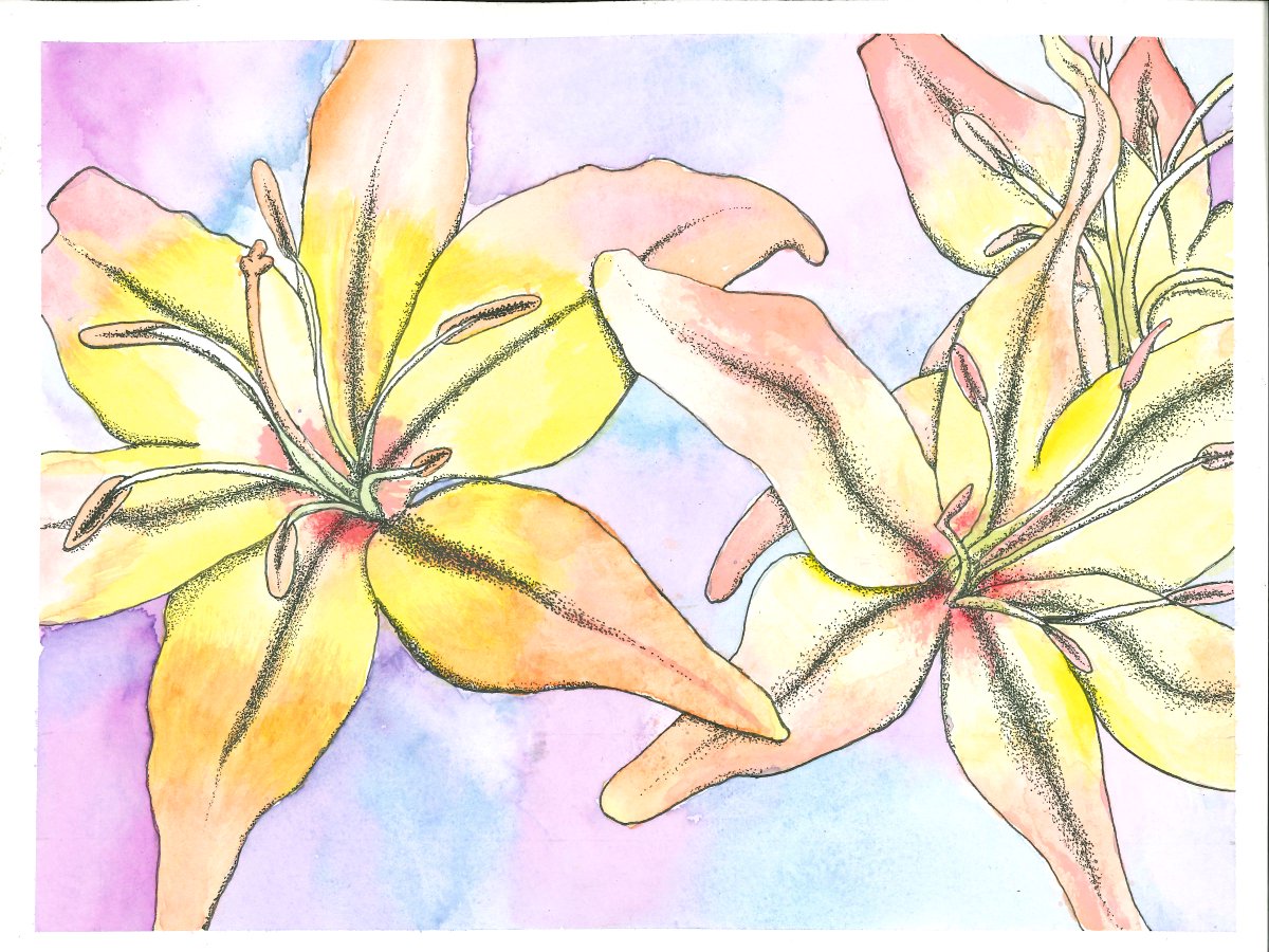 CCLSFIALA's tweet photo. 8th graders finished their project that they started in February when they were 7th graders...water color and ink flowers.  @CCLSChargers #arted #arteducation #middleschoolart https://t.co/pEFmvt1bow
