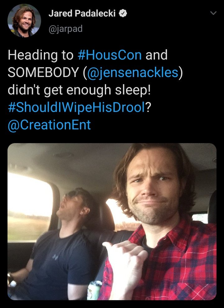 luahiddleston's tweet photo. JP: Indo pra #HousCon e ALGUÉM (@JensenAckles) não dormiu tempo suficiente. #DevoLimparABabaDele?"
JA: Olha quem fala @jarpad... Seu alce narcoléptico. #fechaSUAboca". https://t.co/gD0NRB4zcu