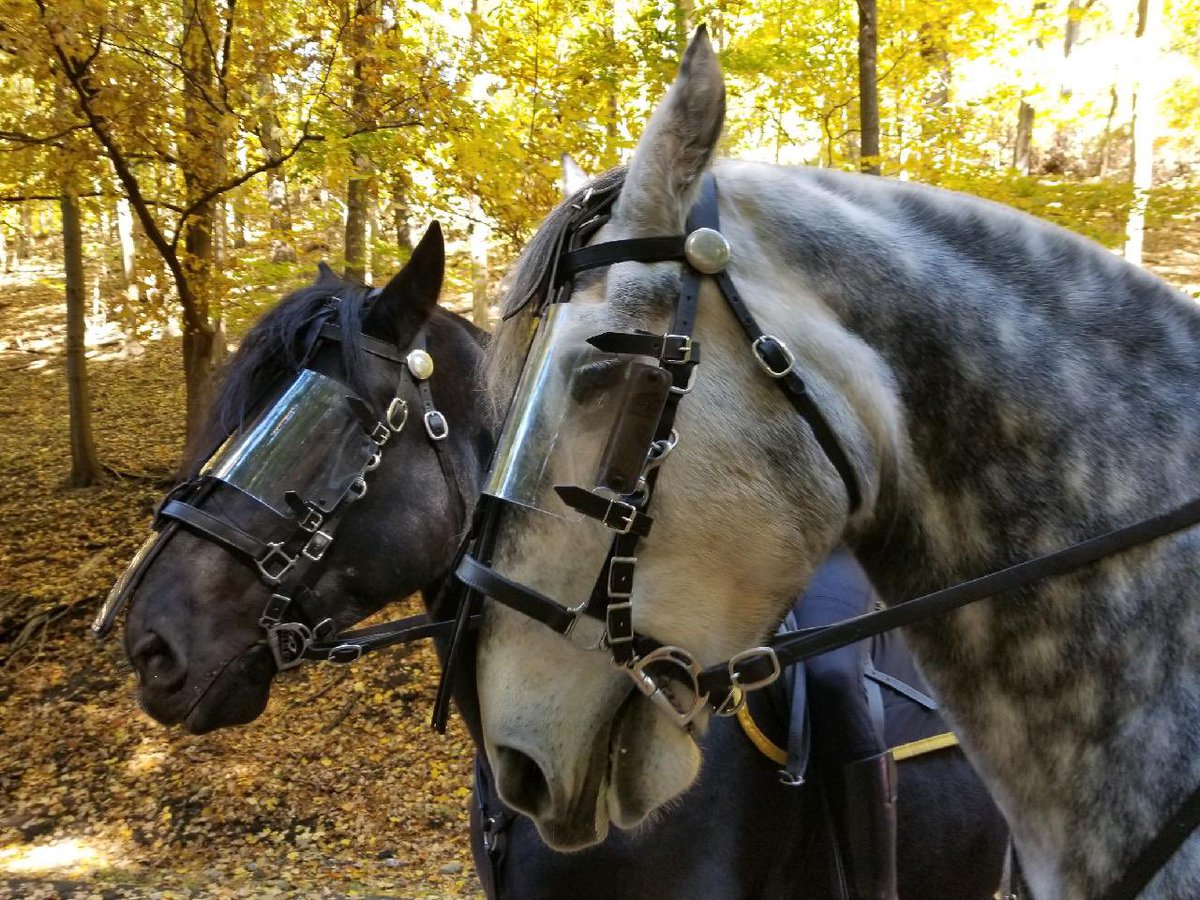 Seneca_Valley's tweet photo. Two SV siblings, Tyler &amp; Hallie Litman, donated their own birthday money – a total of $1,725! – to purchase protective face shields for the horses of the Pittsburgh Bureau of Police Mounted Patrol.  #SVGivesBack #SVMakesADifference #SVProud #SV2021 https://t.co/zQvldFGBTW