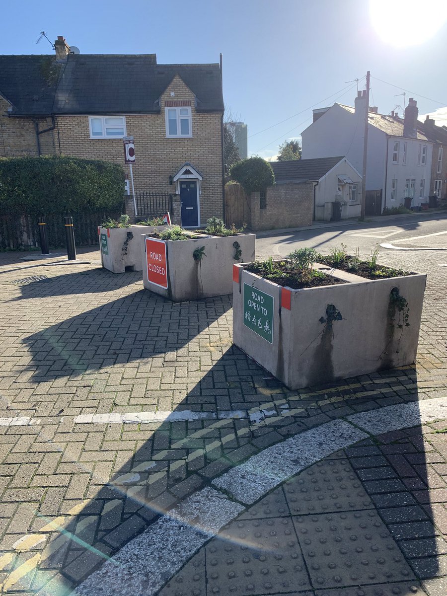 November 18th: Whitestile Road planters - my planters - replanted by the wonderful  @Cultiv8London