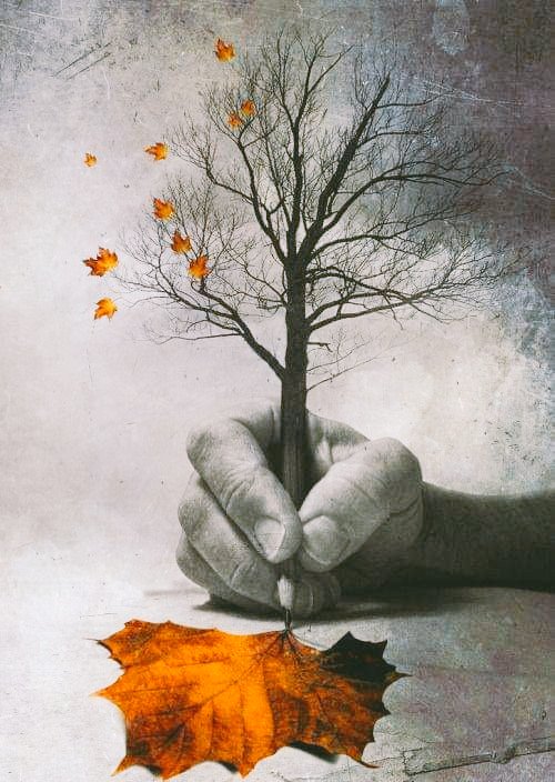 03_16_Ca's tweet photo. Día a día escribimos nuestra historia con capítulos tristes y otros felices, pero lo importante es nunca escribir que nos dimos por vencido...

                                           ❝∆dr!❞ https://t.co/fwrCm0QrLR