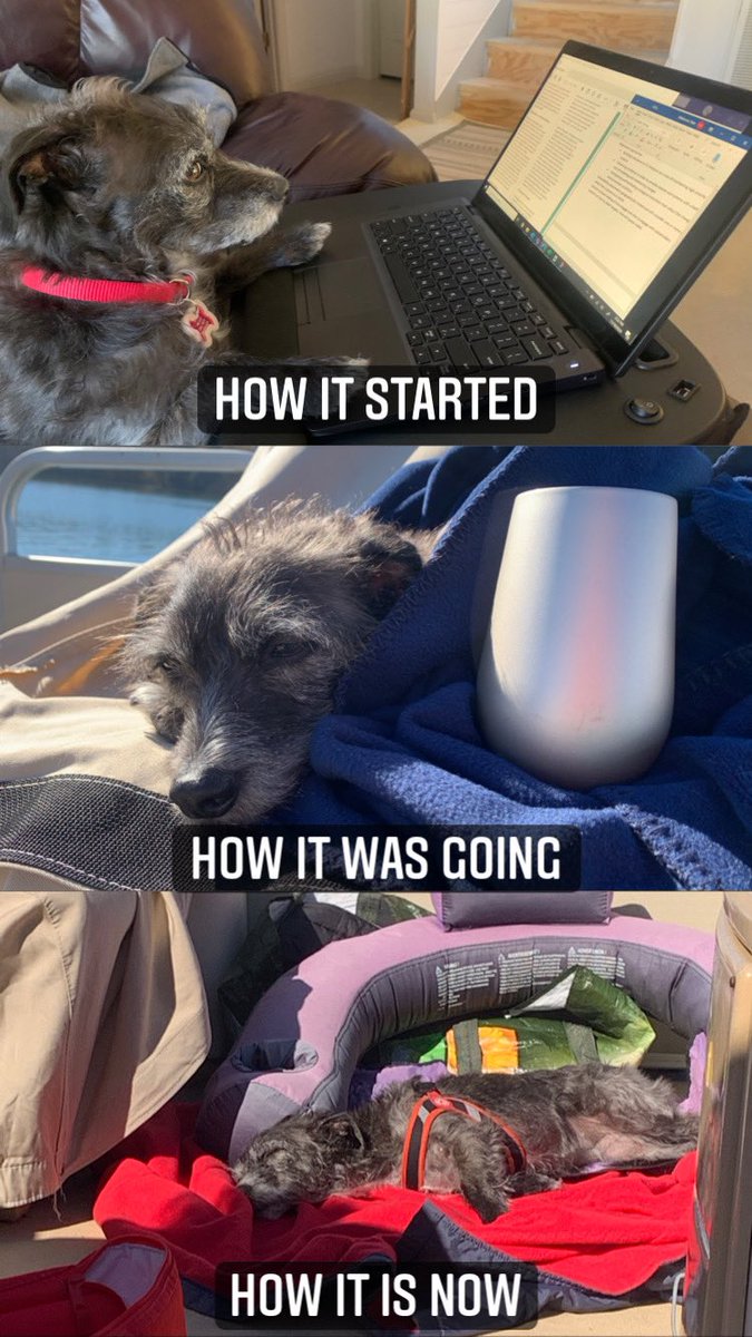 Kate Melanson, Ph.D. tweet media