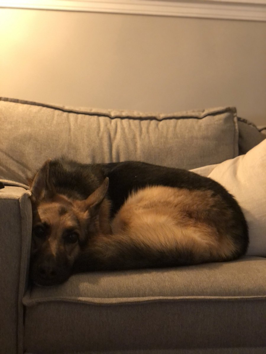 HunterAHomistek's tweet image. 