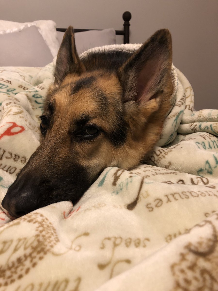 HunterAHomistek's tweet image. 