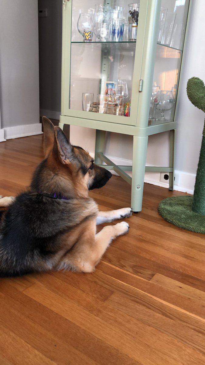 HunterAHomistek's tweet image. 