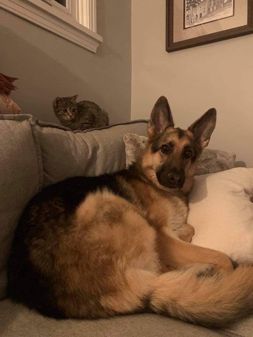 HunterAHomistek's tweet image. 