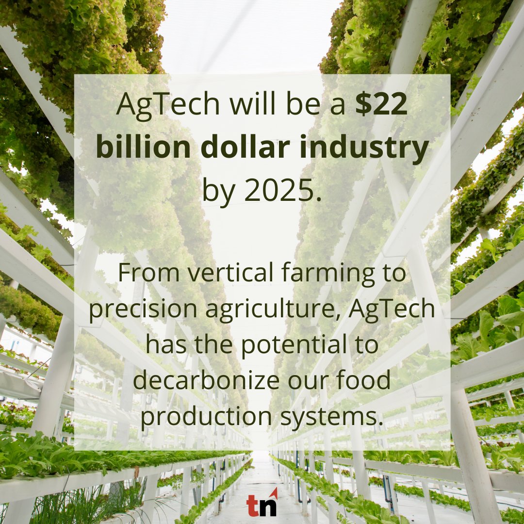 Did you know?

Find out more in our latest article here: truenorthimpact.com/our-work/innov…

#TrueNorthImpact #ImpactInvesting #AgTech #Agriculture