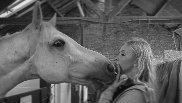 Beau Dermott tweet media