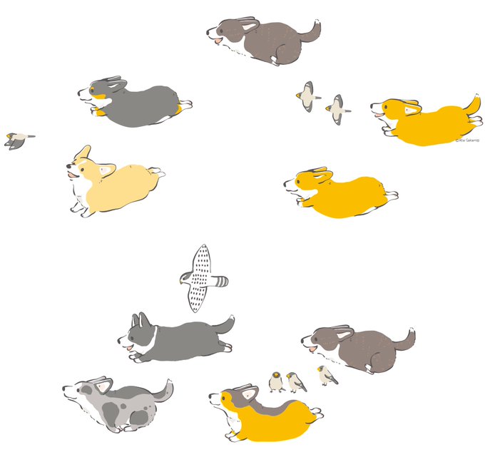 コーギーのtwitterイラスト検索結果