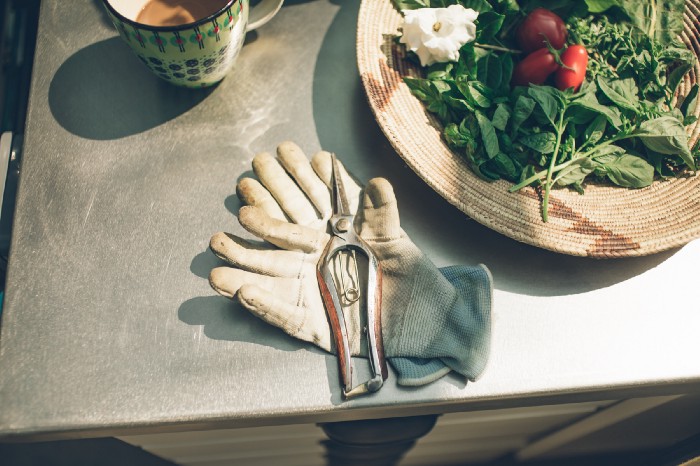 farmershive's tweet image. Grow With Us. Work Remotely Together. medium.com/farmers-hive/g… The design has wireless connectivity linking multiple users directly to the cloud, interpreting changes in climate while identifying water usage, yield gaps &amp;amp; environmental patterns. #farmershive #farming #gardening