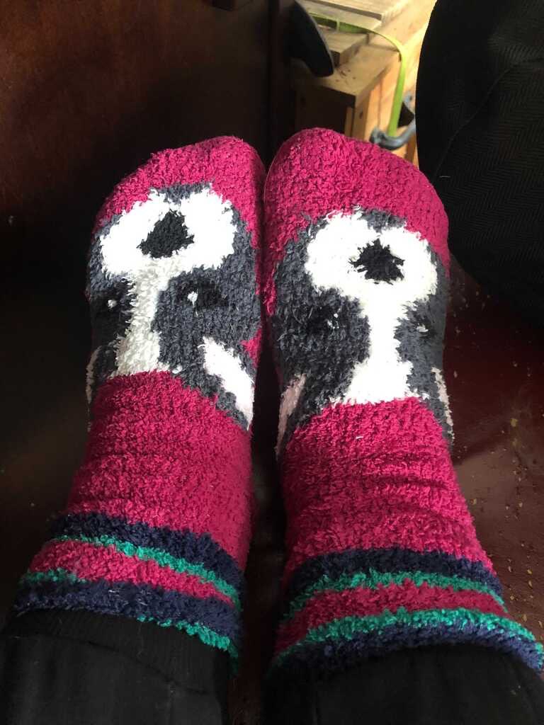 Traci never met a pair of fuzzy socks she didn’t like #boc2020  @BestofCAMA