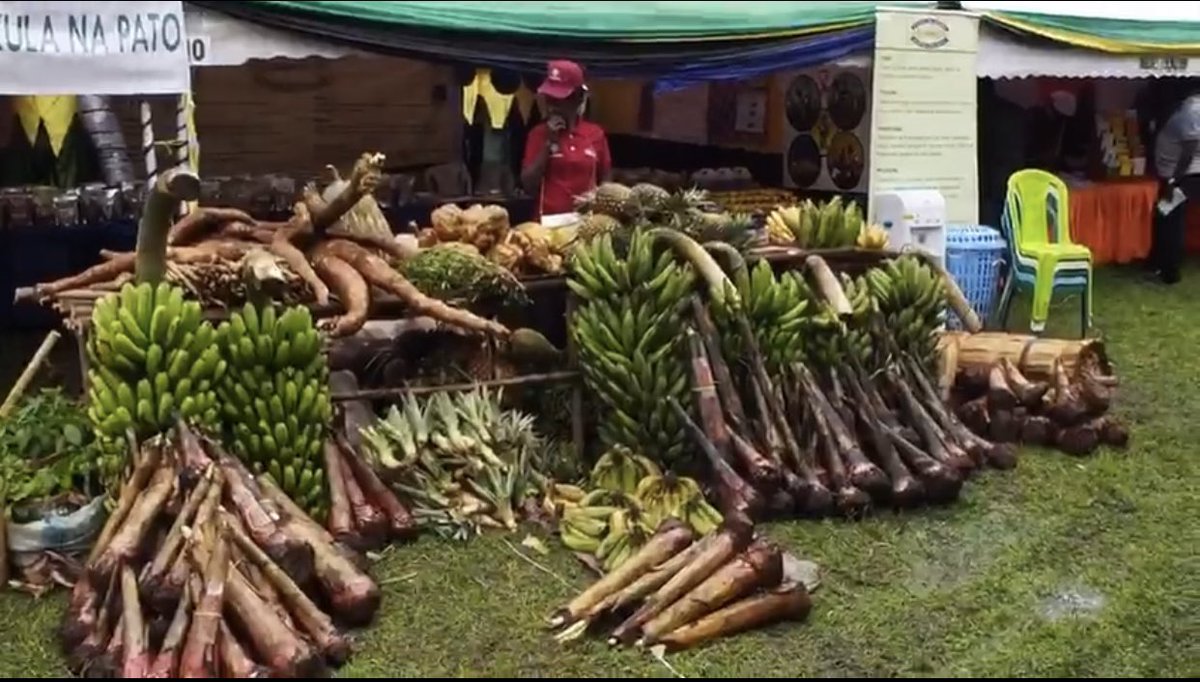 ViAgroforestry's tweet photo. (2/2) The PS for Ministry of Agriculture Tanzania 🇹🇿 Mr Gerald Kusaya was speaking earlier today when he opened the annual symposium in Musoma Tanzania 🇹🇿 #KilimoMseto #Agroforestry #foodsecurity #TeamAgroforestry https://t.co/mljEawd7JC
