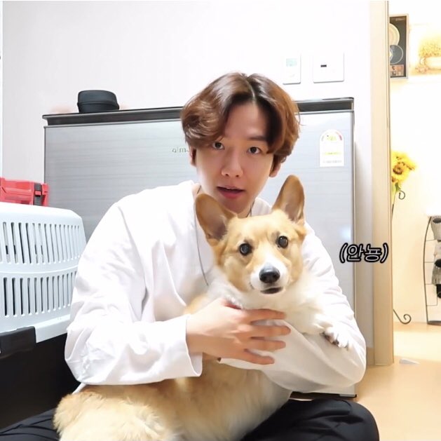 ex9hugs's tweet photo. 💌 Hay una nueva notificación!

⌲ @byunplop
te ha llegado un abrazo de baekhyun!! 

Espero y lo disfrutes mucho ♡ https://t.co/hcP5JQt2XQ