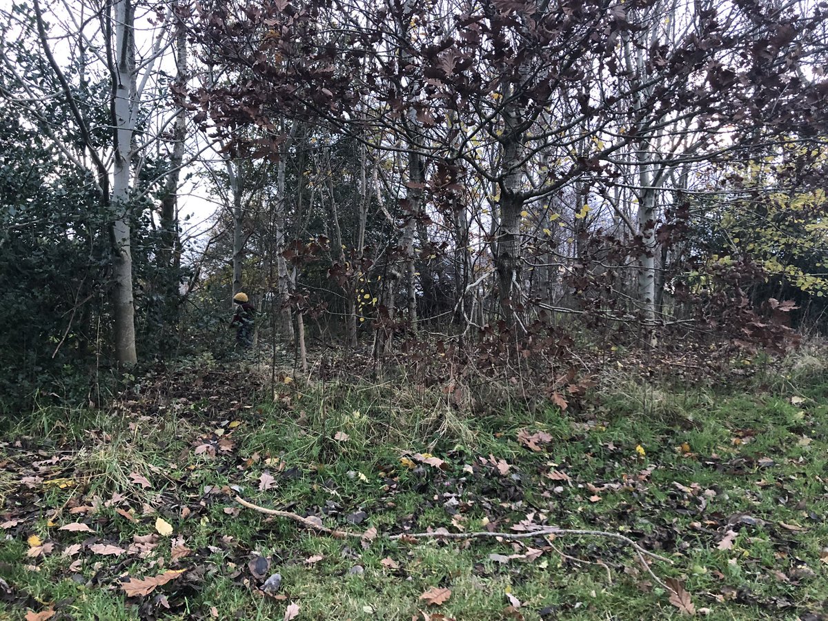 HumbieA's tweet photo. Giddy with joy that the storms have passed, we donned a million layers and ventures into the meadow for more den building and merriment #humbie #outdoorlearning #childledplay #winterwarmers https://t.co/Ki1Zpp2cnI