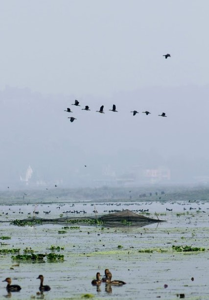 21/ Hoping this work helps people with cancer breathe better. We also hope it raises awareness, and establishes we have a long way to go in treating breathlessness. We need more  #supponc  #pallonc research.