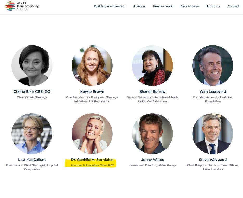 If you want to be one of the lucky 'keystone companies', better be sympathetic to the  #GreatFoodTransformation towards the  #PlanetaryHealthDiet (but if you're already a member of the World Business Council of Sustainable Development, don't worry too much) https://www.worldbenchmarkingalliance.org/ambassadors/&nbsp;