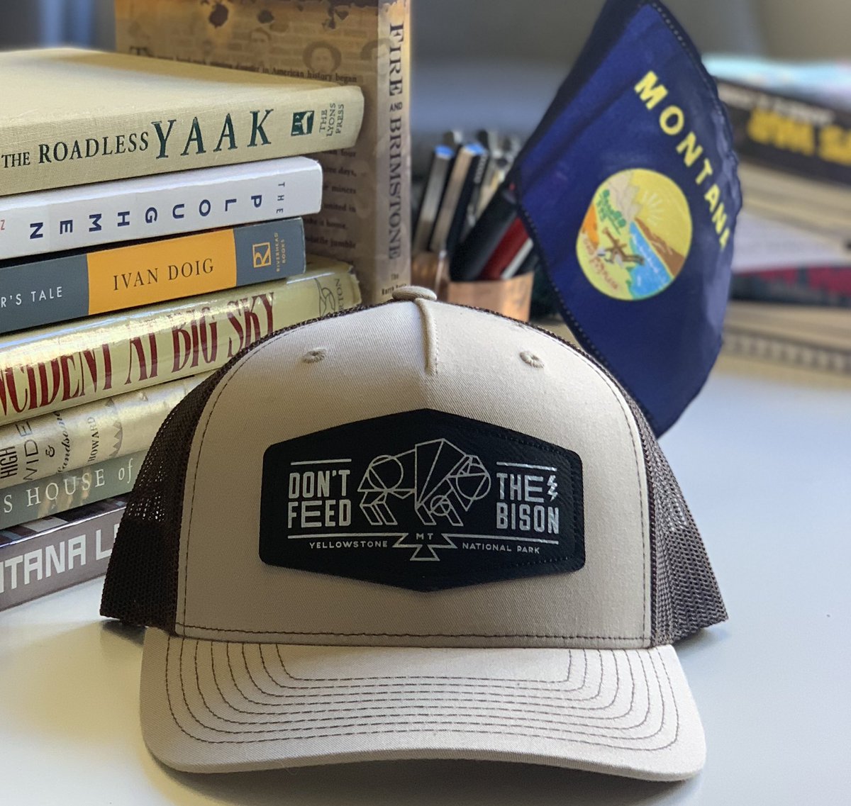 Don't pet bison

Don't ride the bison

Don't put the bison in your car because they look cold

DON'T FEED THE BISON

New hats bit.ly/35IJ8qH