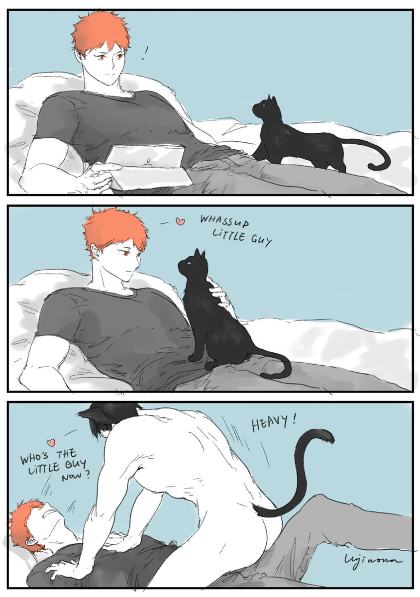 Hinata got himself a cat 