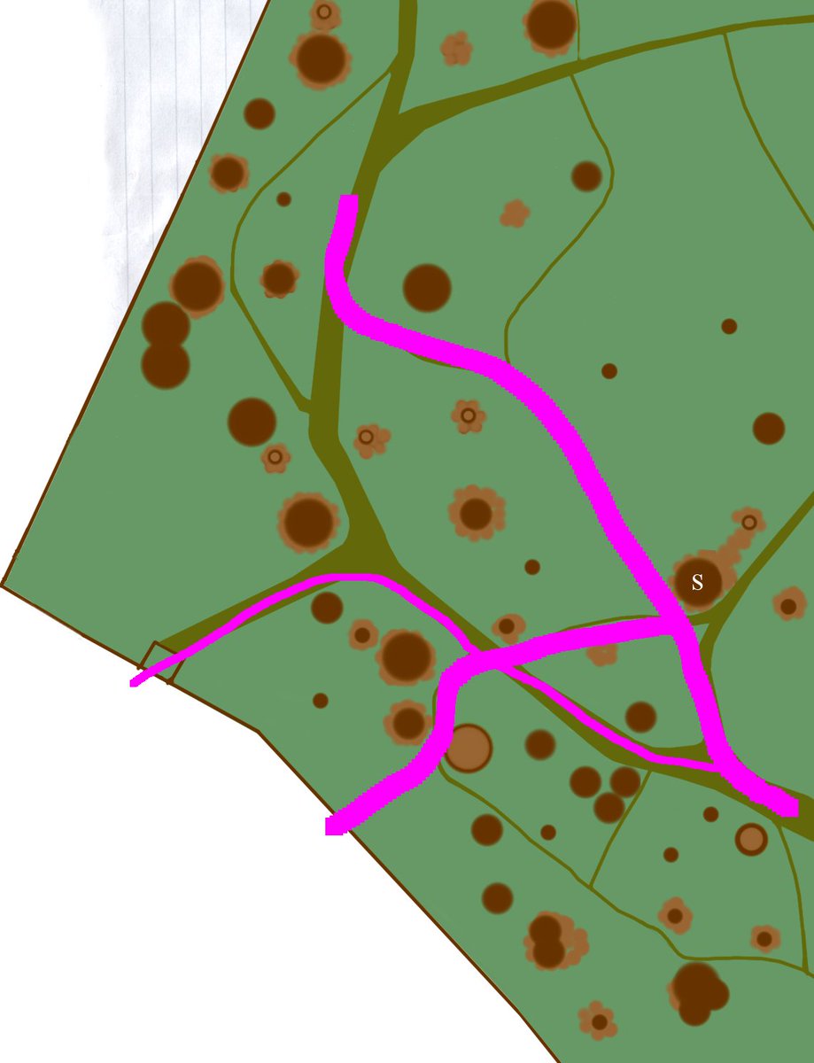 A couple of years later, the council built a fence around the wood, formalising the entrance points. This had an interesting effect: first of all the main way in from the north side moved with the location of the gate. As this entry took precedence, the main path moved with it.