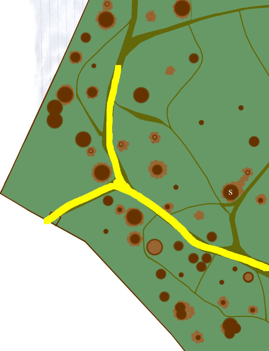 A couple of years later, the council built a fence around the wood, formalising the entrance points. This had an interesting effect: first of all the main way in from the north side moved with the location of the gate. As this entry took precedence, the main path moved with it.