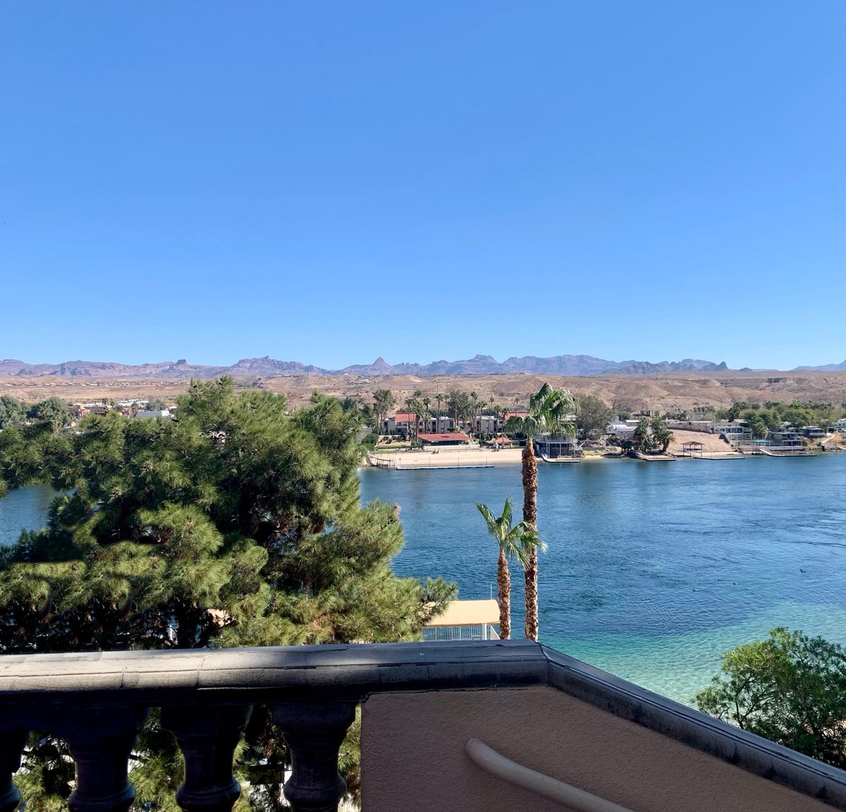 HarrahsLaughlin's tweet photo. 🦁 Roaring towards winter in #Laughlin 😎🌴🌞 
#harrahslaughlin #caesarsrewards #caesarsentertainment #coloradoriver #beautifulday #sunshine #laughlinbuzz #bluesky @HarrahsLaughlin https://t.co/O8LweaTya1