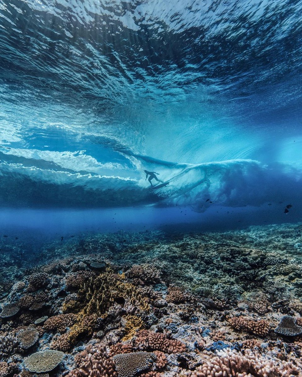 WSLBrasil's tweet photo. Imagem fantástica do Tim Mckenna em Teahupo’o!🤩 https://t.co/WcDwu5eQnH