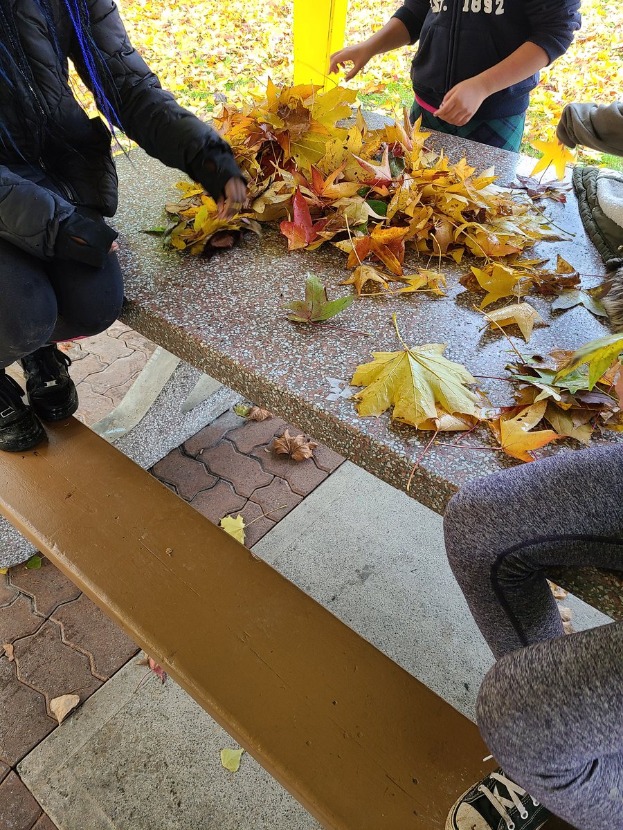 heather_scharf's tweet photo. Using leaves to practise counting to 20 in French! #learningoutside #outdoorlearning #sd40learns #newwestschools #biggerspaces https://t.co/5sj6JCvWMb
