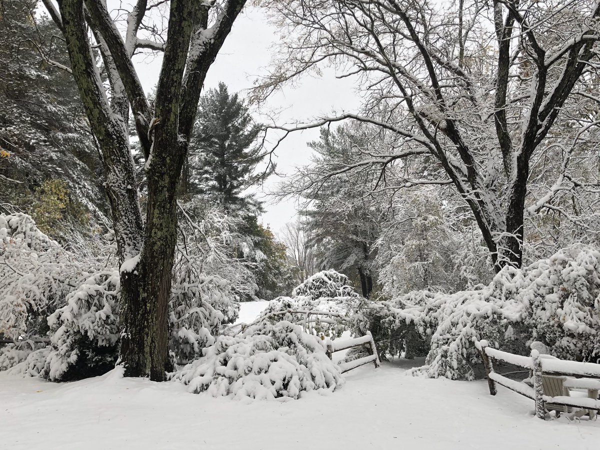 You’re just guessing at this point and don’t really know what you’re talking about. Winter Forecasts are educated guesses, not just guesses. TBH, nothing is certain right now. And I don’t buy a non snowy or snowy NE winter for a second. So stay tuned and hope for the best...