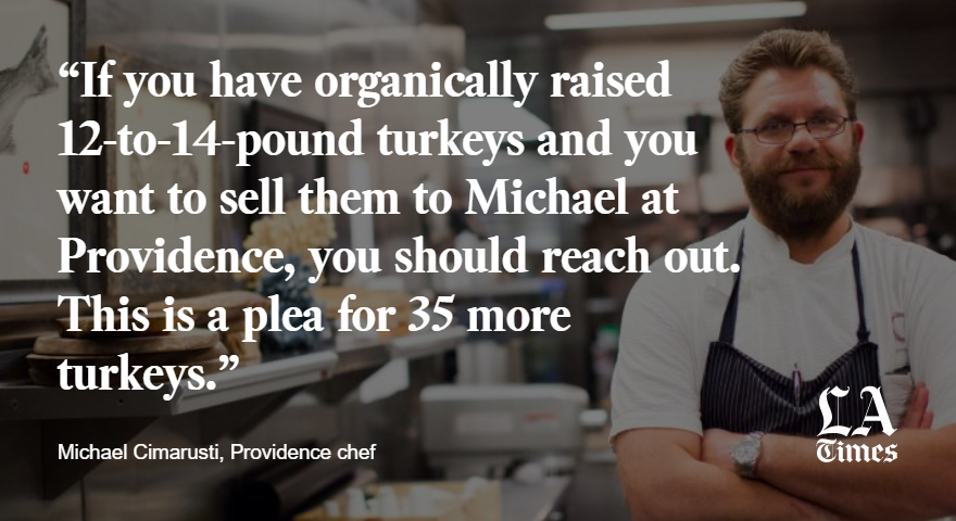 thanksgiving meal planner