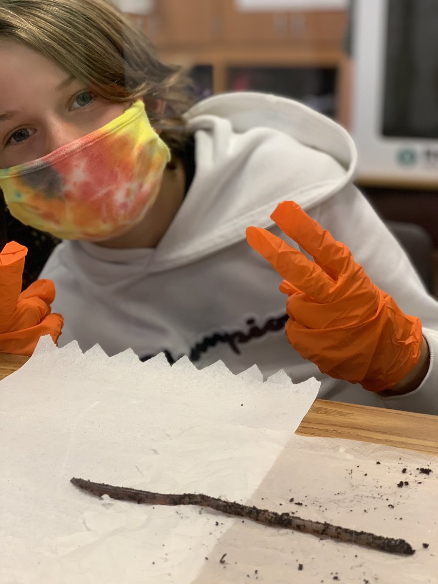 We got to test how earthworms interact in their environment and how they rely on their environment in order to survive. @ElsaEngRRISD