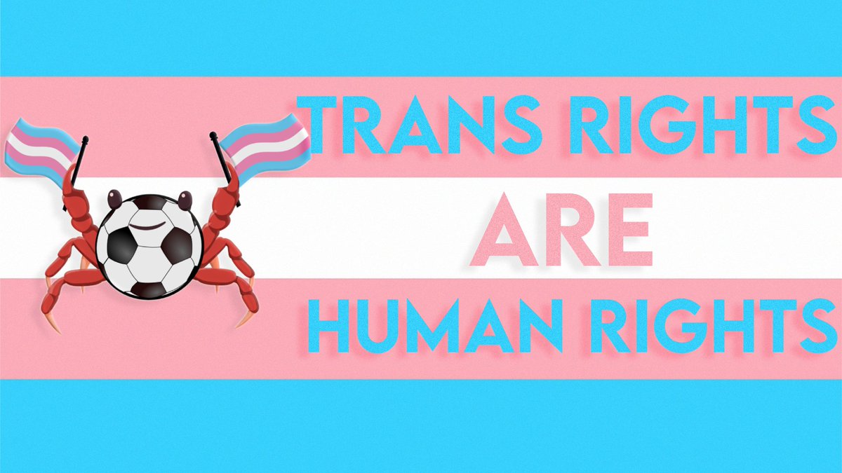 crab_ball's tweet image. In celebration of #TransAwarenessWeek2020, we want to spread the message of equality on our platform, although it may not be the biggest.