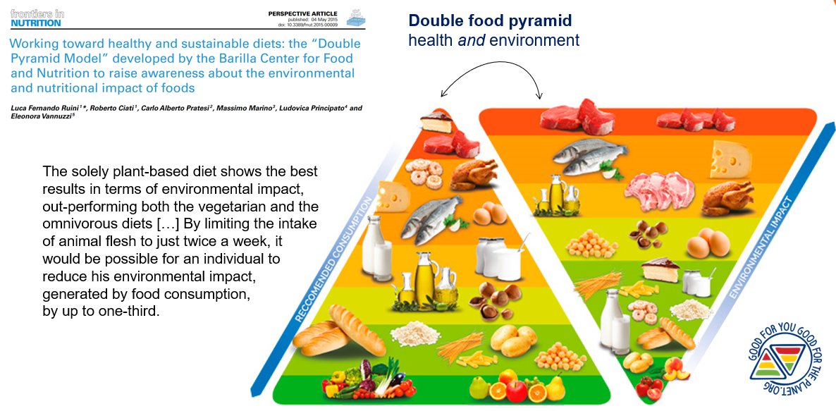 Which is neat because Barilla also likes to design dietary models - its own "double food pyramid" matches EAT closely: grains YES! - animal foods, mmm? - red meat NO!