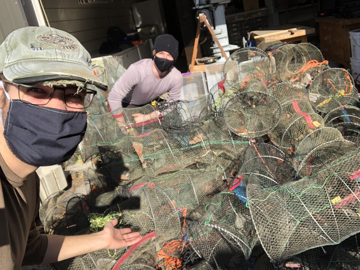 mudpuppy_love's tweet photo. Do you think we have enough traps? (This is only half)
#mudpuppy #minnowtrap https://t.co/u17Q3pojOi