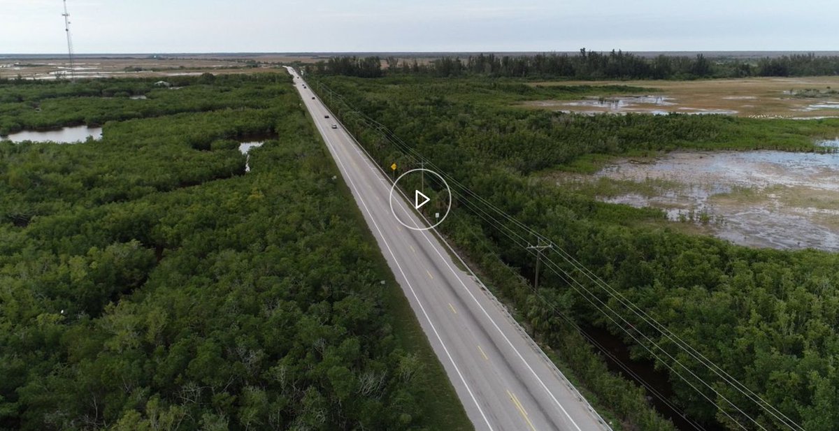 TONIGHT! Bay News Channel 9 will be airing "The Tamiami Trail: They Paved Through Paradise" featuring cameos by some of our colleagues as well as Seminole community members!
Check it out the amazing piece here: bddy.me/3kMC4O2